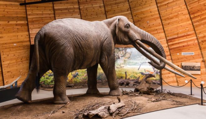 8 Decent English Words That Have Bawdy Origins