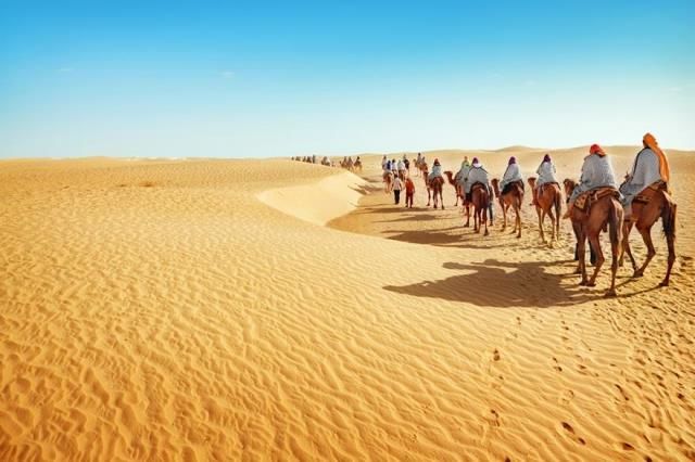 10 Surprising Facts About The Sahara Desert