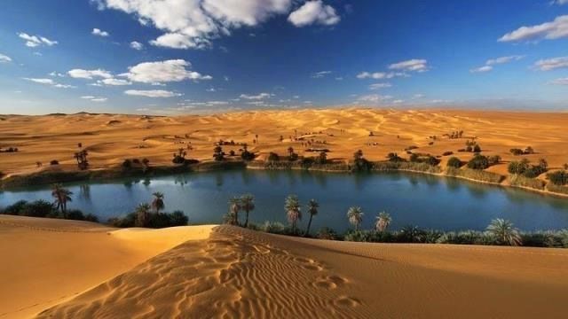 10 Surprising Facts About The Sahara Desert