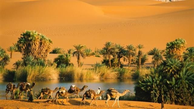 10 Surprising Facts About The Sahara Desert