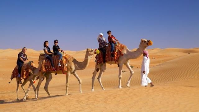 10 Surprising Facts About The Sahara Desert