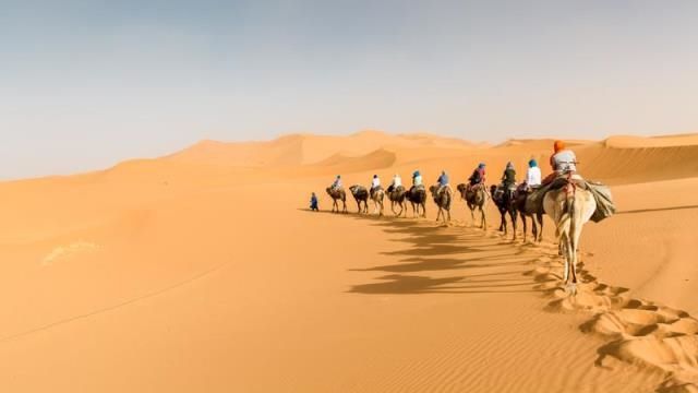 10 Surprising Facts About The Sahara Desert