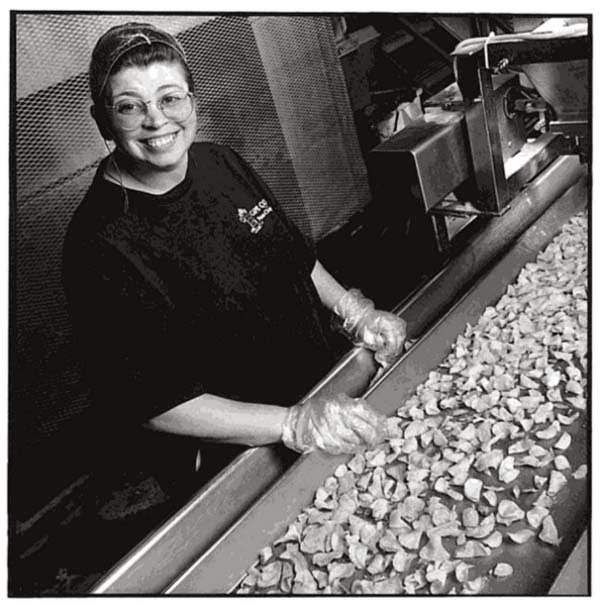 20 Craziest Jobs That Actually Exist