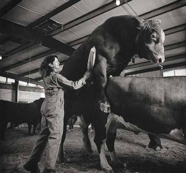 20 Craziest Jobs That Actually Exist