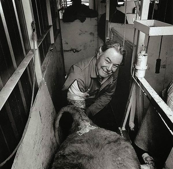 20 Craziest Jobs That Actually Exist