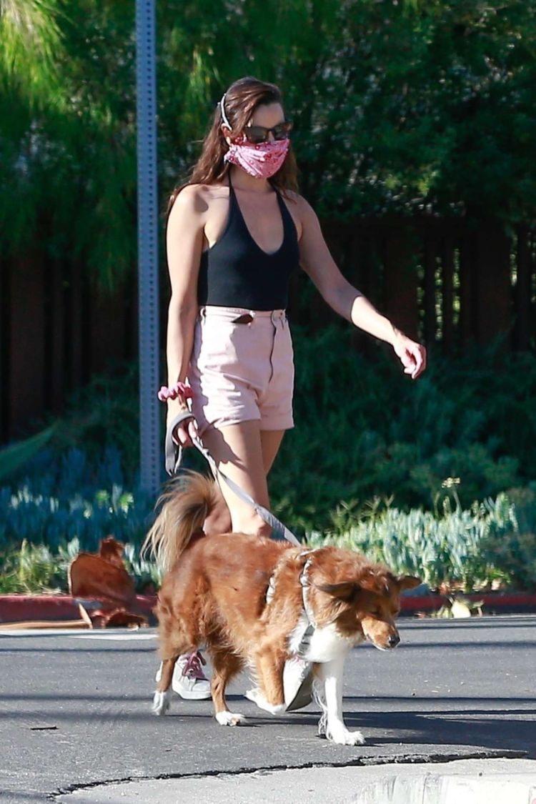 Aubrey Plaza Spotted Walking Her Dogs In Los Feliz