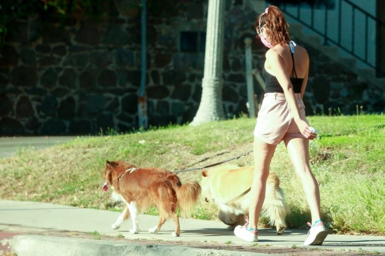 Aubrey Plaza Spotted Walking Her Dogs In Los Feliz