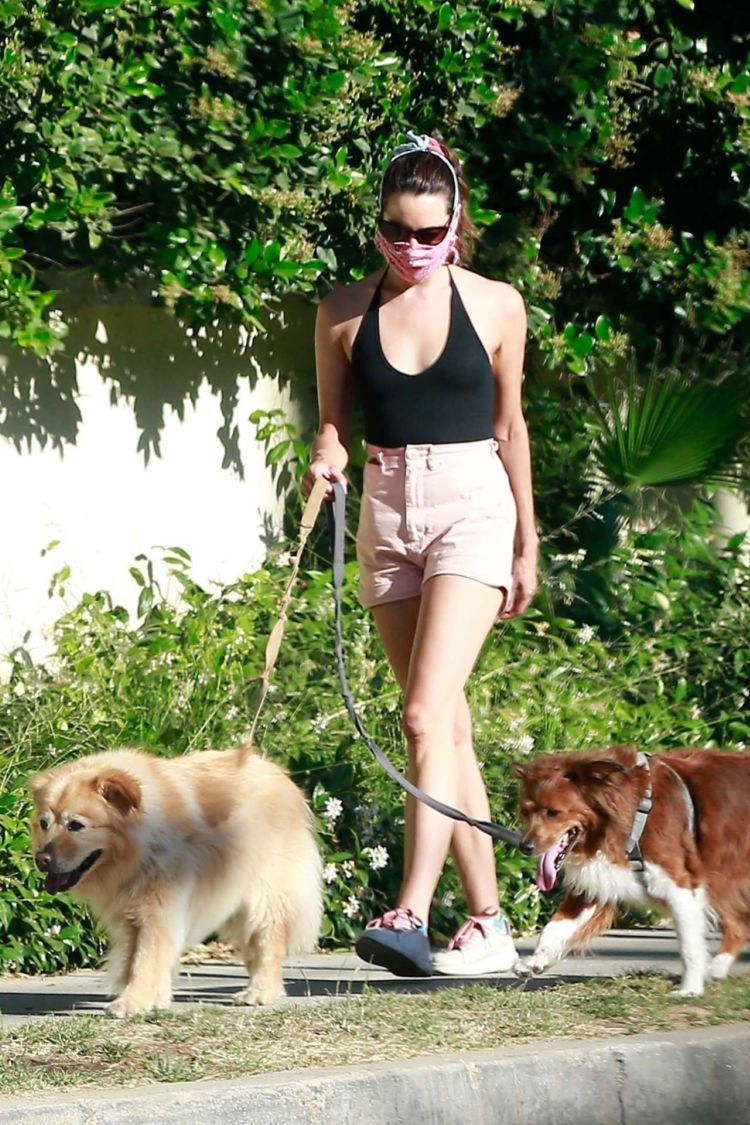 Aubrey Plaza Spotted Walking Her Dogs In Los Feliz