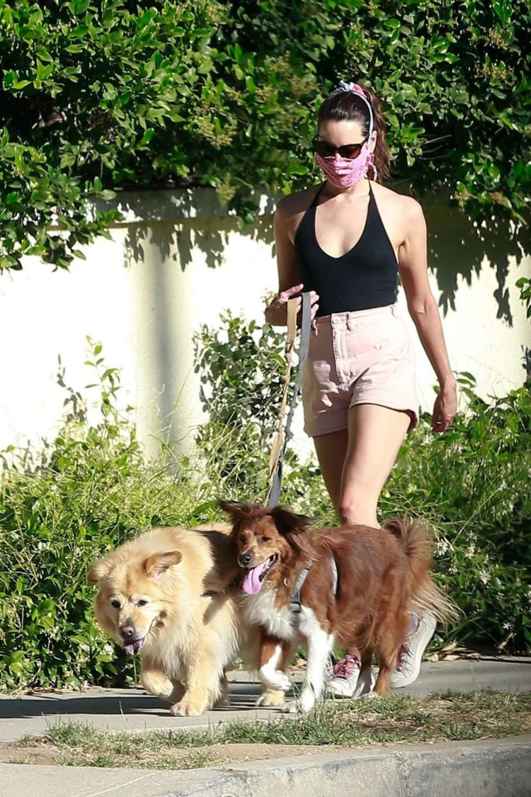Aubrey Plaza Spotted Walking Her Dogs In Los Feliz