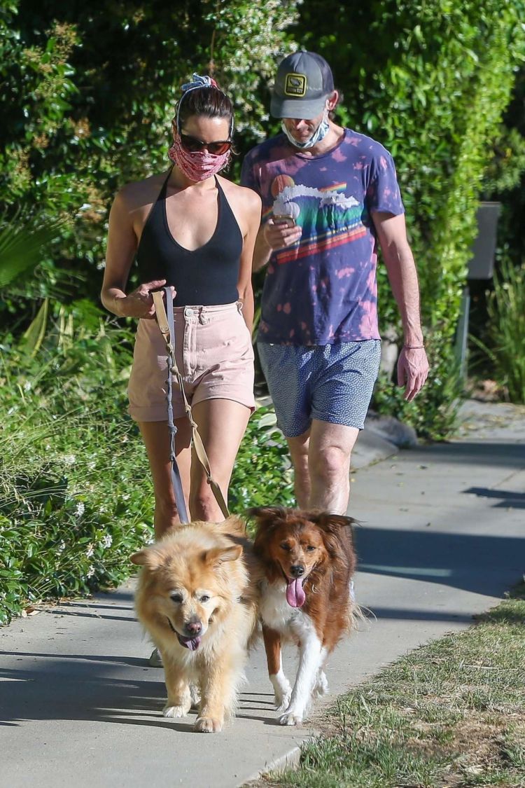 Aubrey Plaza Spotted Walking Her Dogs In Los Feliz
