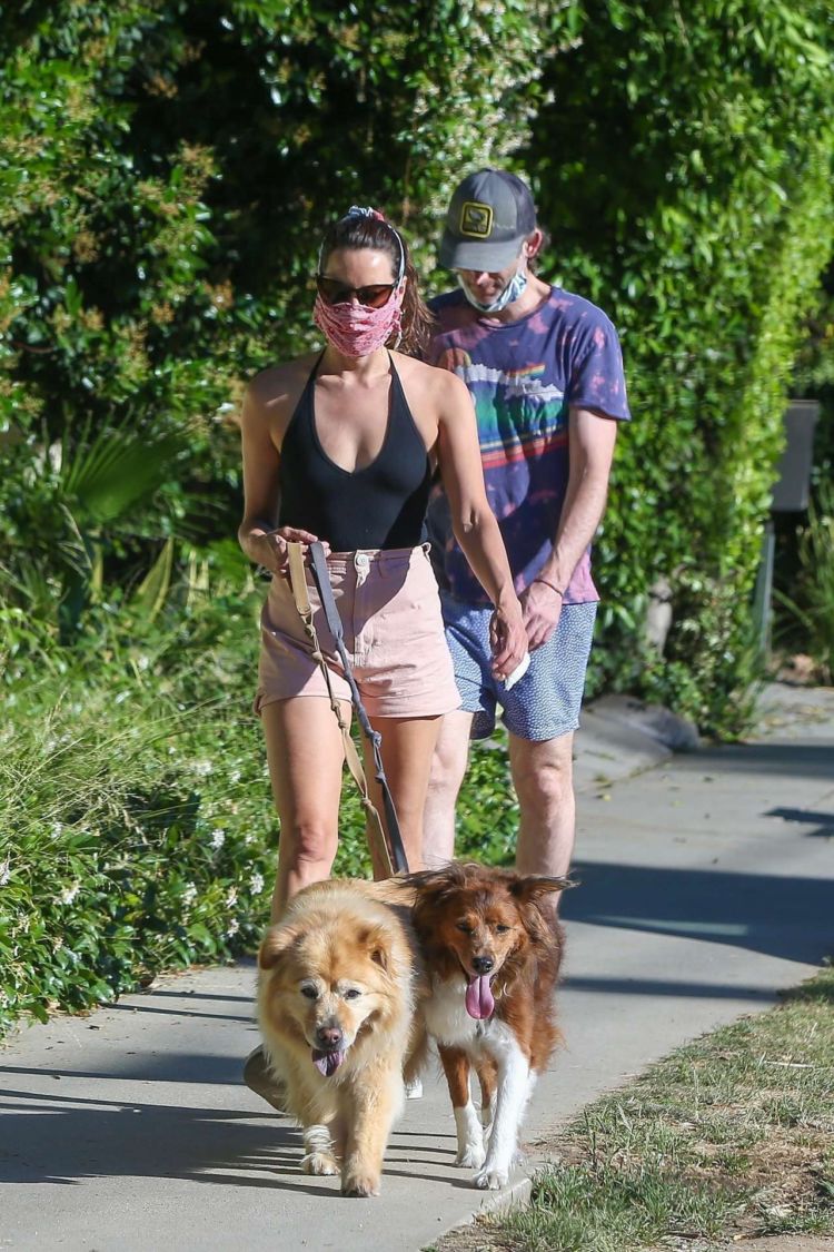 Aubrey Plaza Spotted Walking Her Dogs In Los Feliz