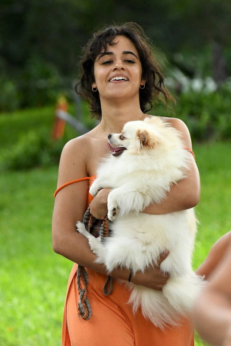 Camila Cabello Playing With Her Dogs Out In Miami