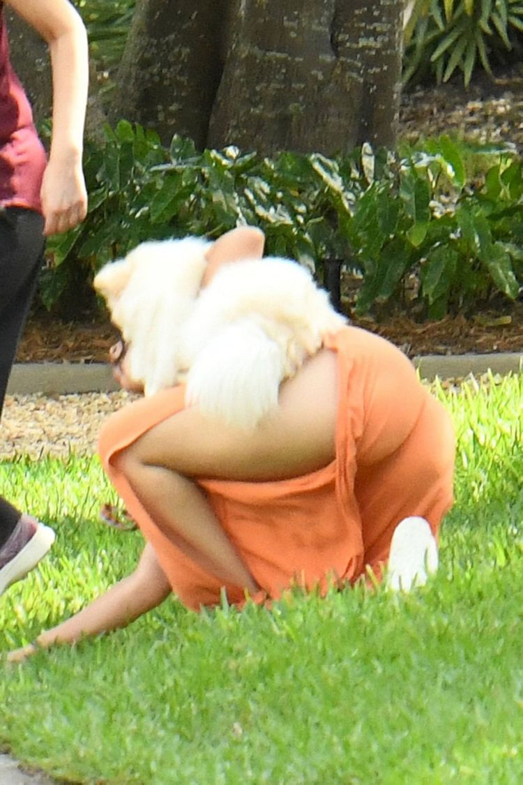 Camila Cabello Playing With Her Dogs Out In Miami