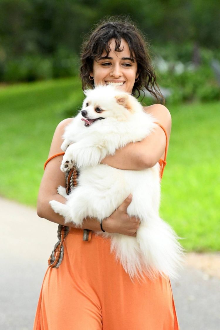 Camila Cabello Playing With Her Dogs Out In Miami
