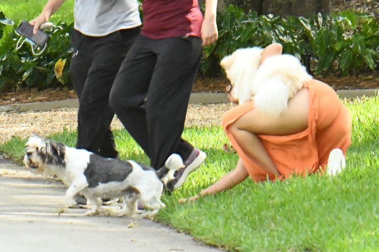 Camila Cabello Playing With Her Dogs Out In Miami