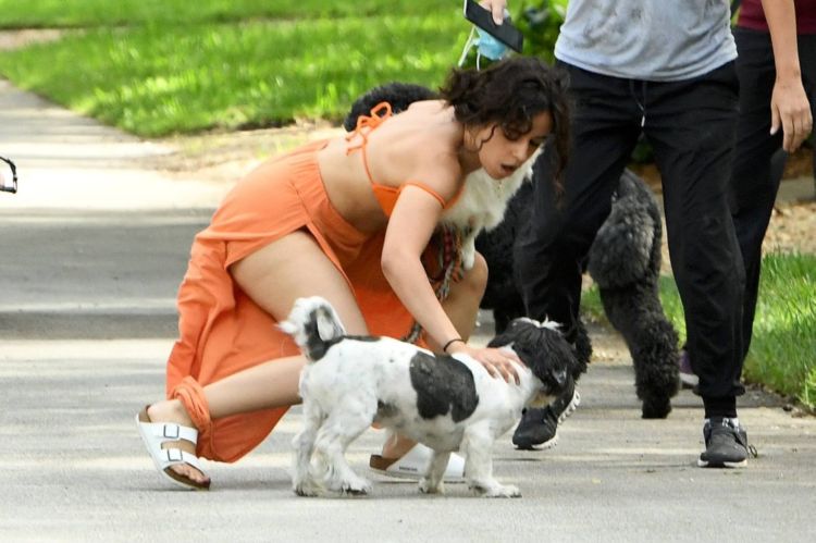 Camila Cabello Playing With Her Dogs Out In Miami