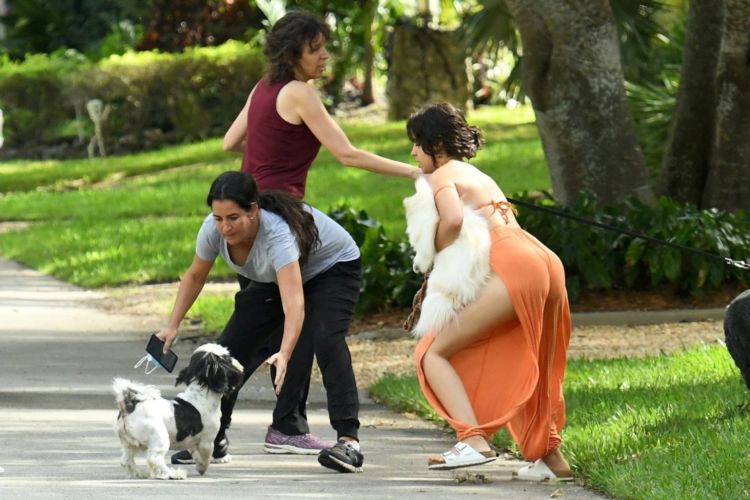 Camila Cabello Playing With Her Dogs Out In Miami