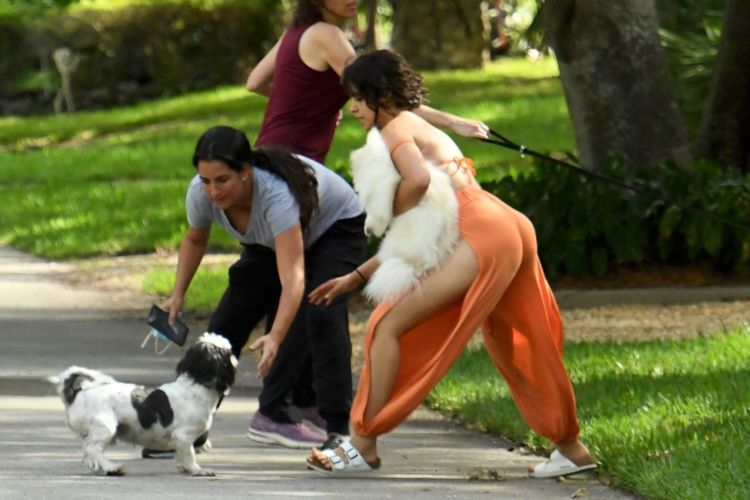 Camila Cabello Playing With Her Dogs Out In Miami