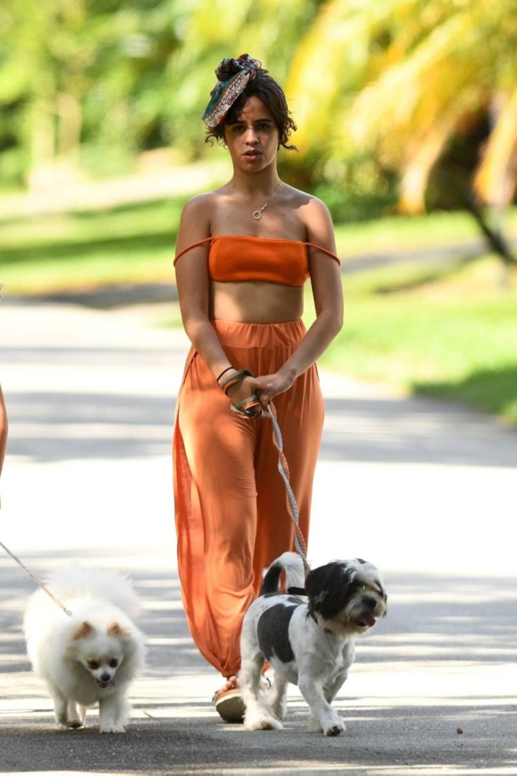 Camila Cabello Playing With Her Dogs Out In Miami