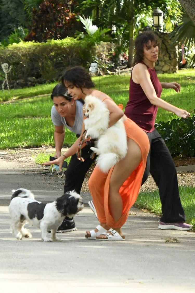 Camila Cabello Playing With Her Dogs Out In Miami