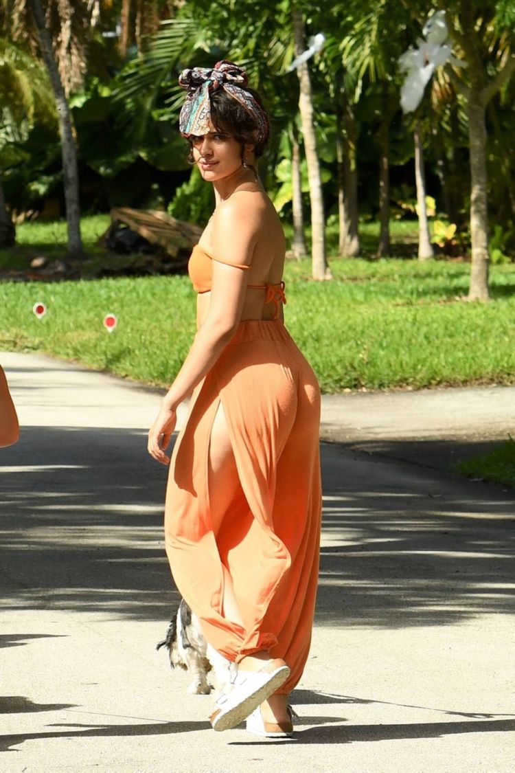 Camila Cabello Playing With Her Dogs Out In Miami