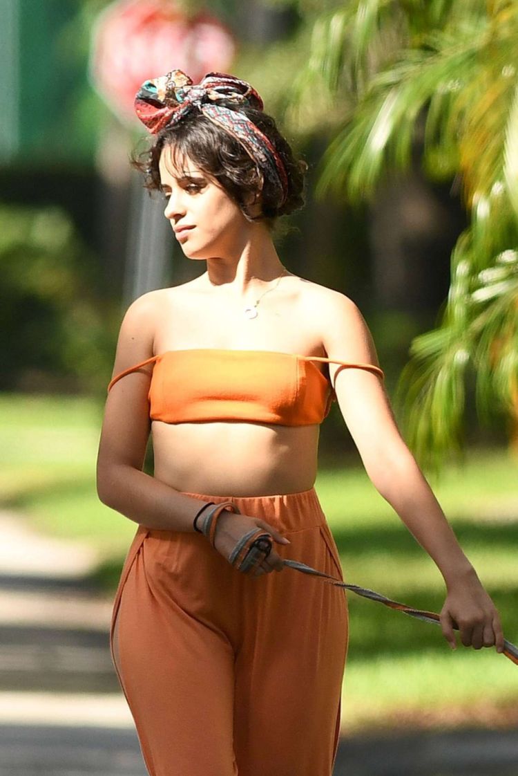 Camila Cabello Playing With Her Dogs Out In Miami