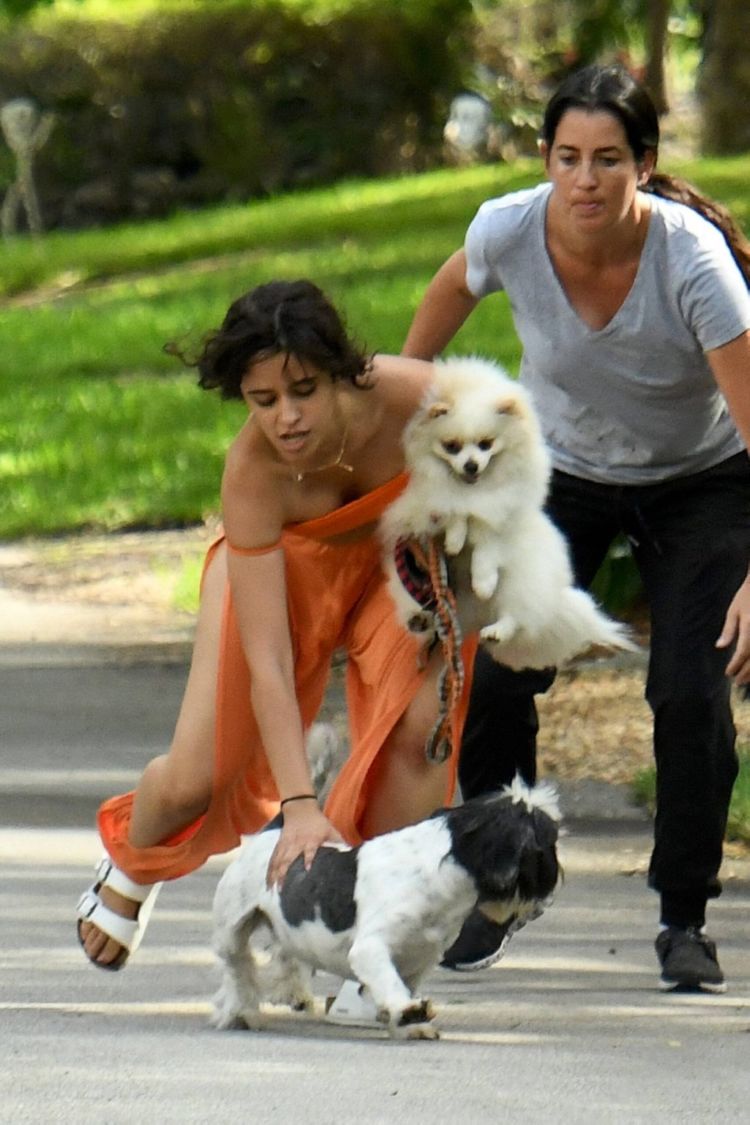Camila Cabello Playing With Her Dogs Out In Miami