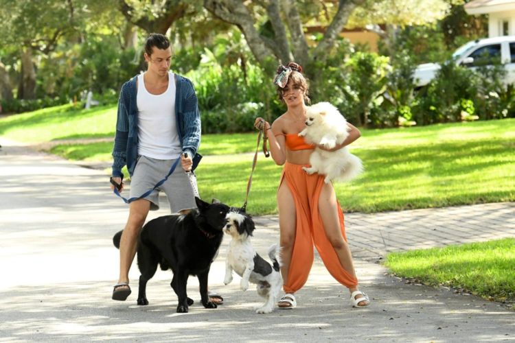 Camila Cabello Playing With Her Dogs Out In Miami