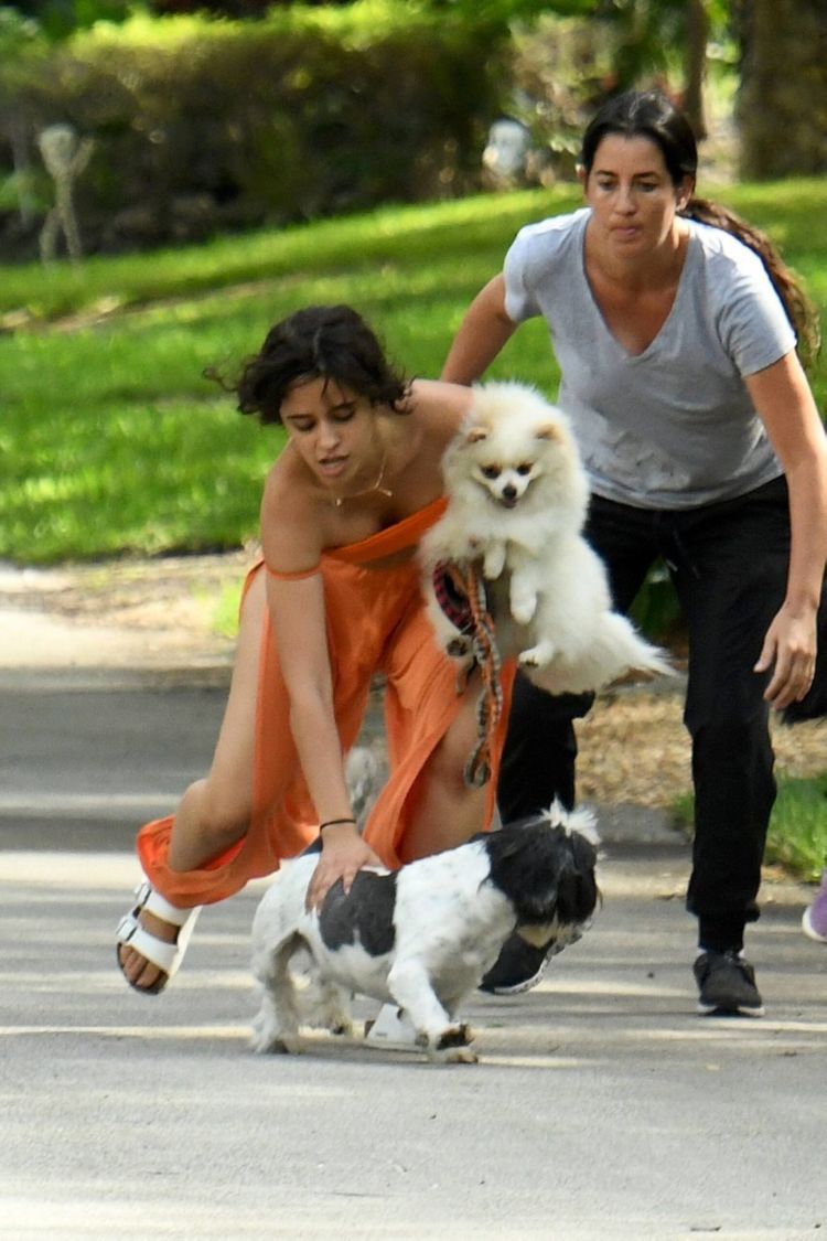 Camila Cabello Playing With Her Dogs Out In Miami