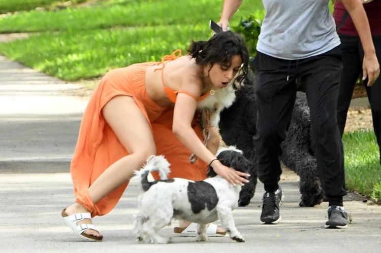 Camila Cabello Playing With Her Dogs Out In Miami