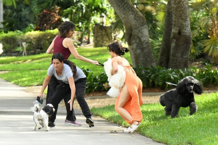 Camila Cabello Playing With Her Dogs Out In Miami