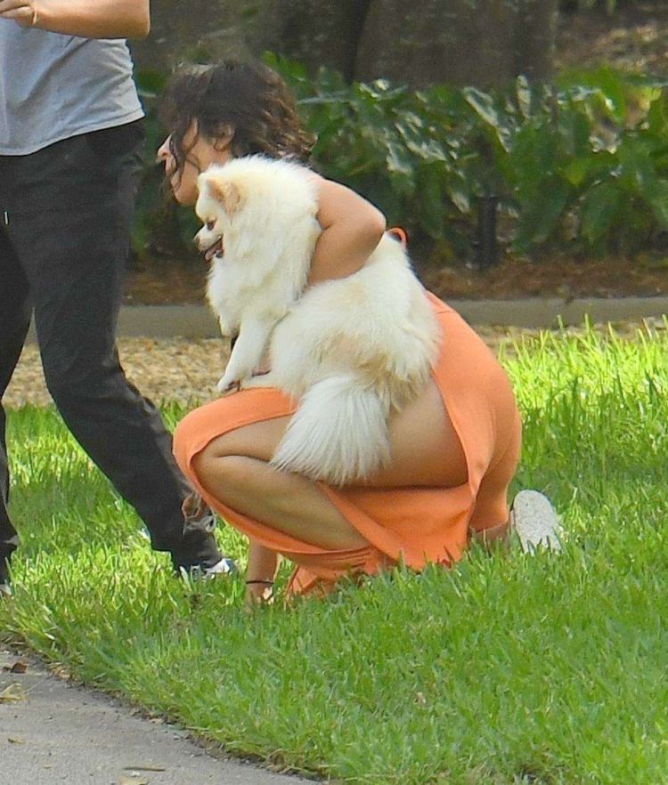 Camila Cabello Playing With Her Dogs Out In Miami