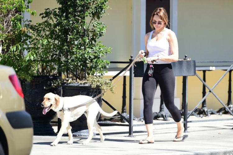 Hunter King Walking Her Dog In Los Angeles