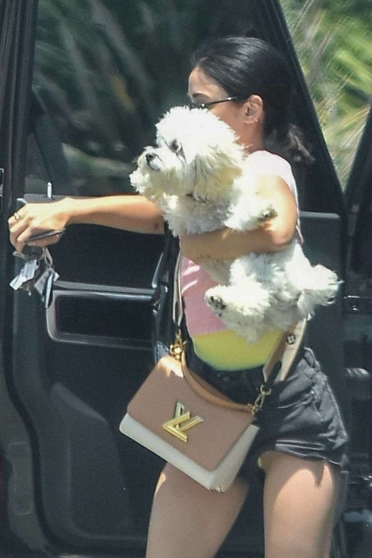Lucy Hale Candids In Shorts At Her Friend's House In Studio City