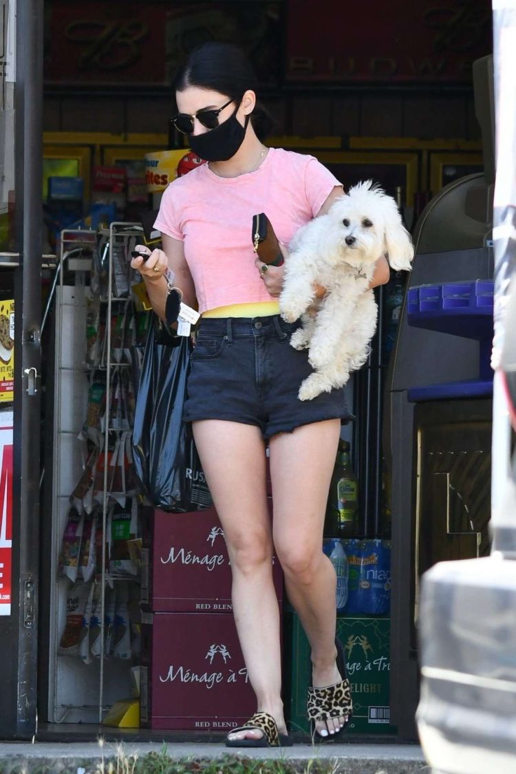 Lucy Hale Candids In Shorts At Her Friend's House In Studio City
