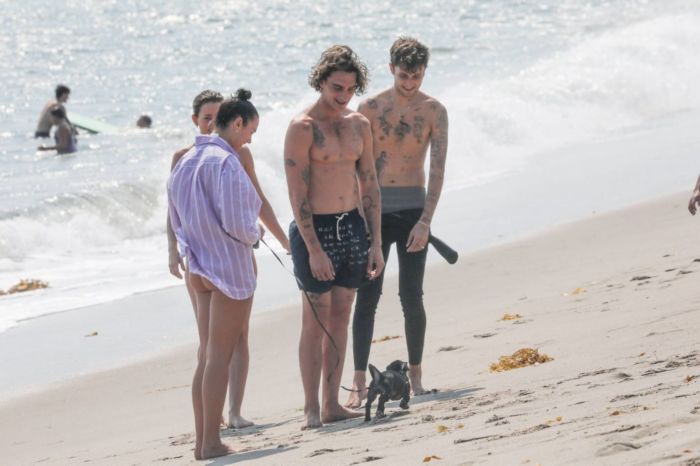 Dua Lipa Candids In Bikini At The Beach In Malibu