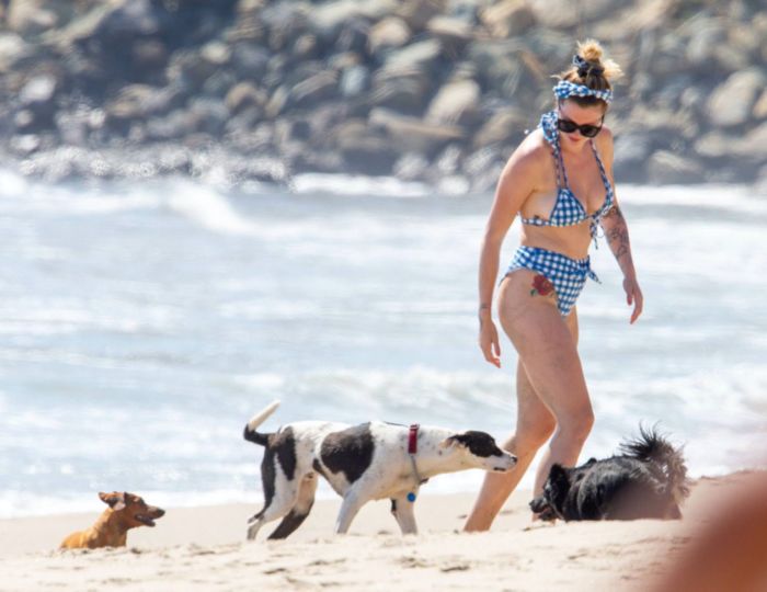 Ireland Baldwin Vacationing In Bikini At The Beach In Malibu