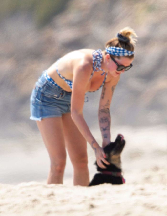 Ireland Baldwin Vacationing In Bikini At The Beach In Malibu