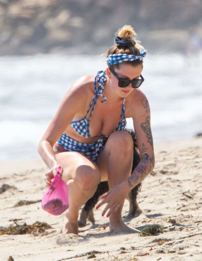 Ireland Baldwin Vacationing In Bikini At The Beach In Malibu