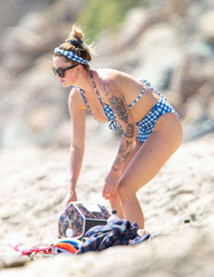 Ireland Baldwin Vacationing In Bikini At The Beach In Malibu