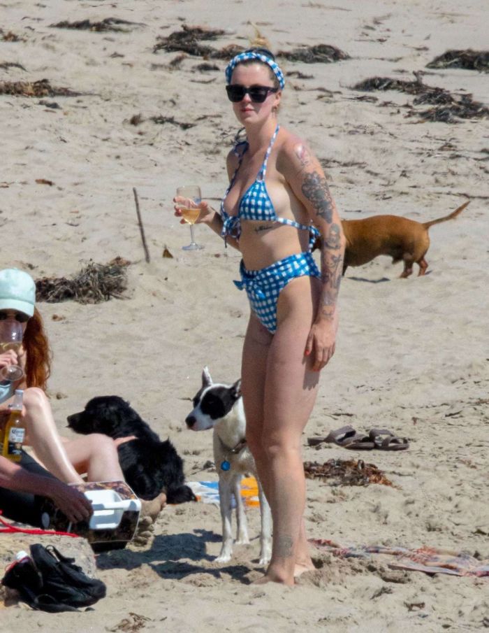 Ireland Baldwin Vacationing In Bikini At The Beach In Malibu